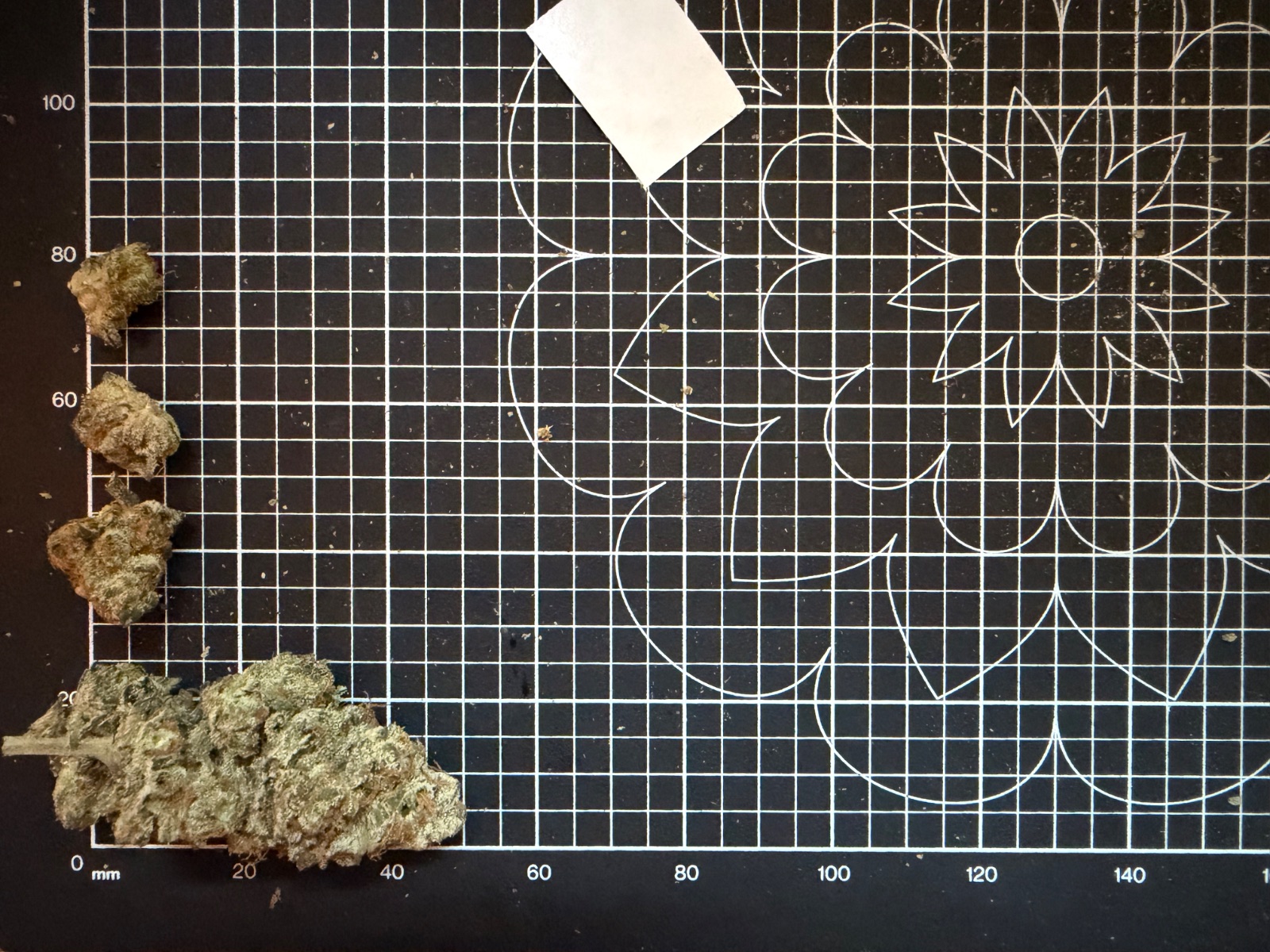 F4 by The Winter Classic length of nugs