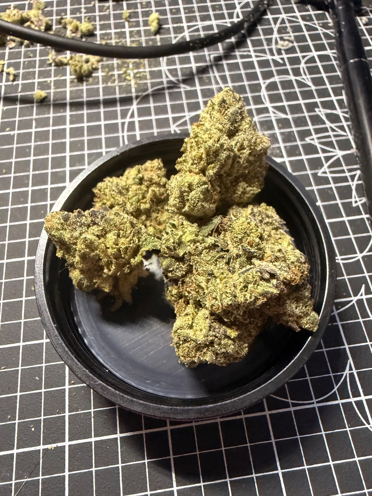 Bud Shot