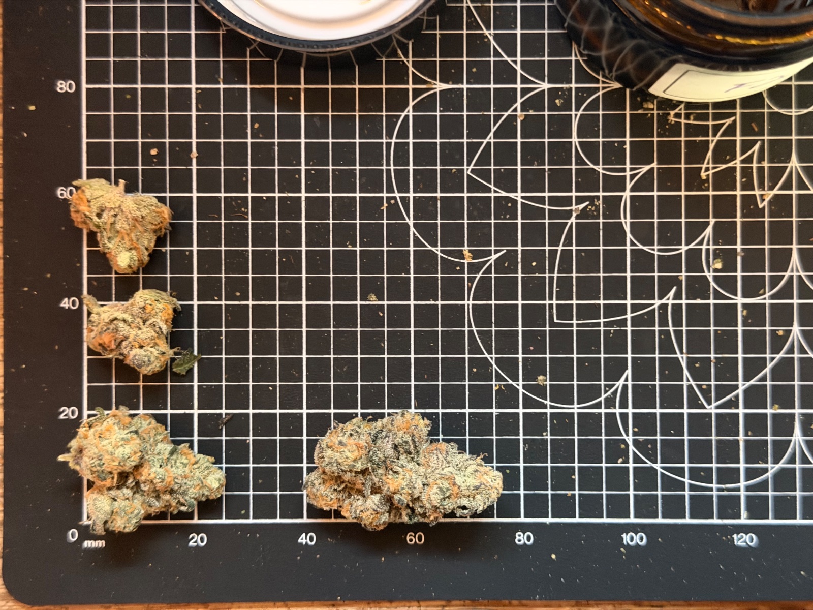 F2 by The Winter Classic Nug Shots