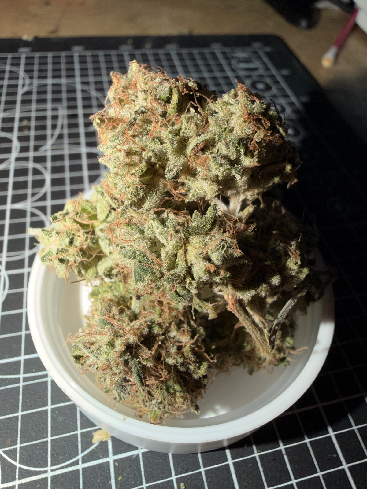 Boo Berry by Loyalty7_icmag2 bud shot