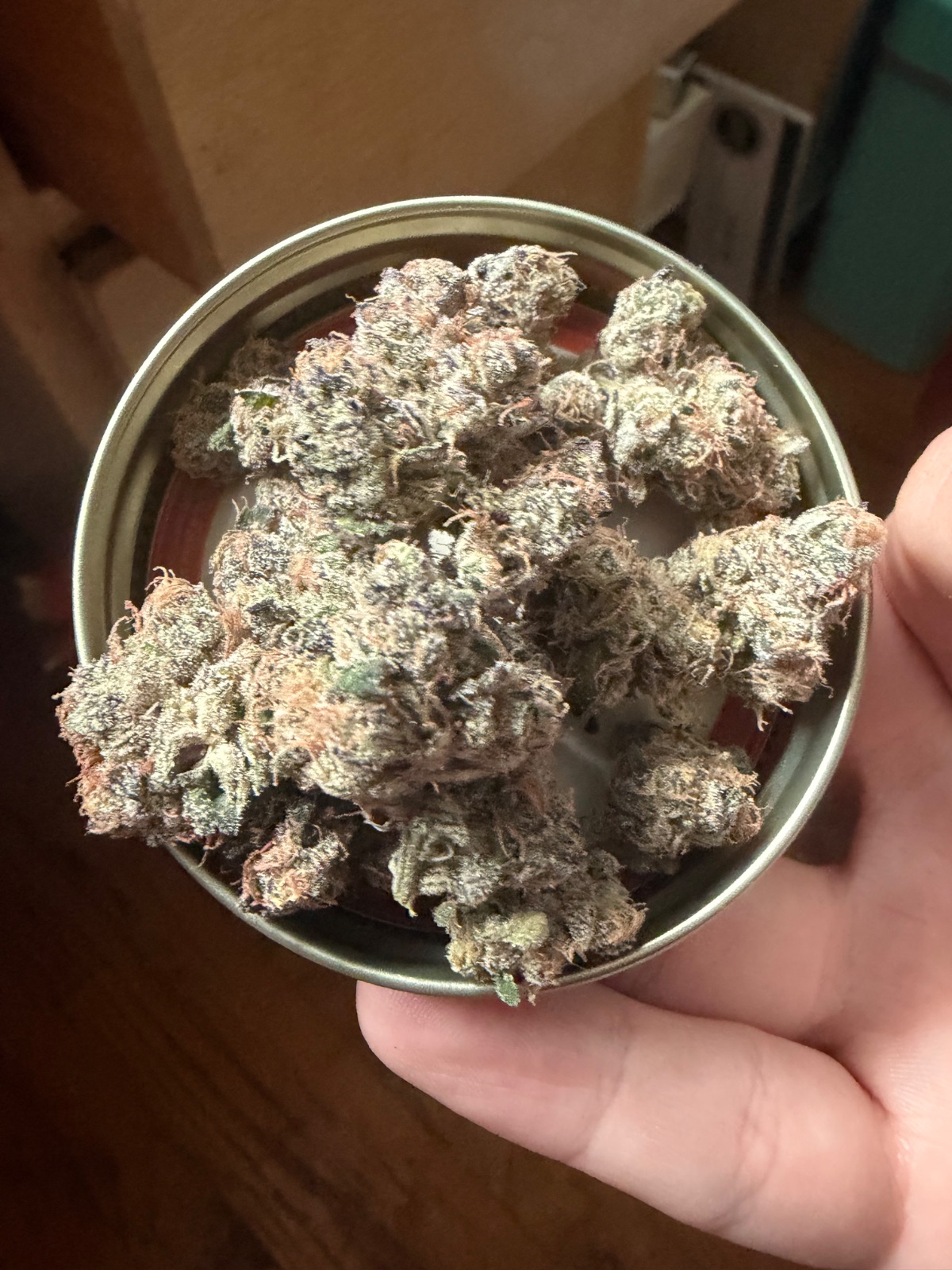 Spritzer by Loyalty7_icmag2 bud shot